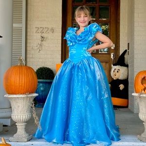Custom Cinderella Gown Costume with Butterfly Detailing on the Bust